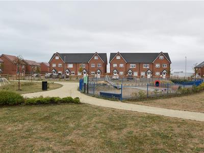 Picture 29